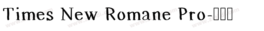 Times New Romane Pro字体转换